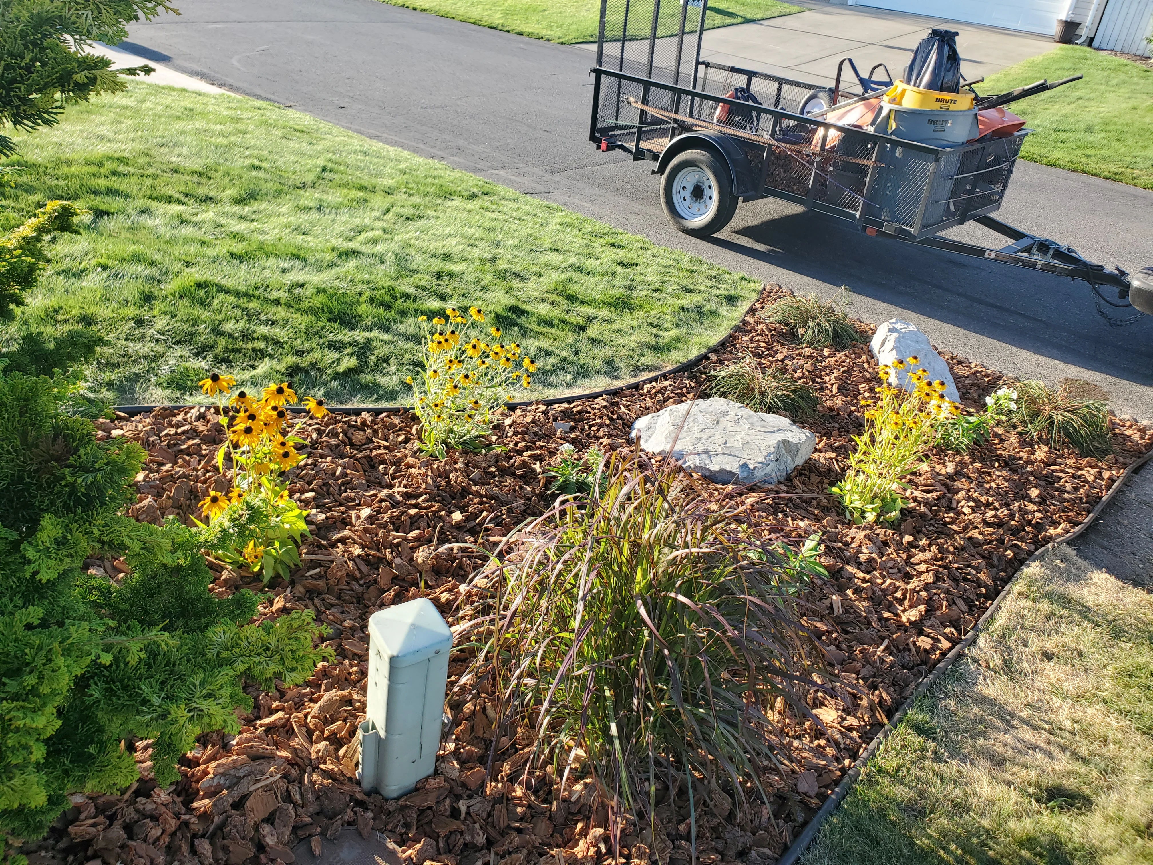 Curved flower bed with brown mulch, yellow flowers, white stones, and ornamental grasses
