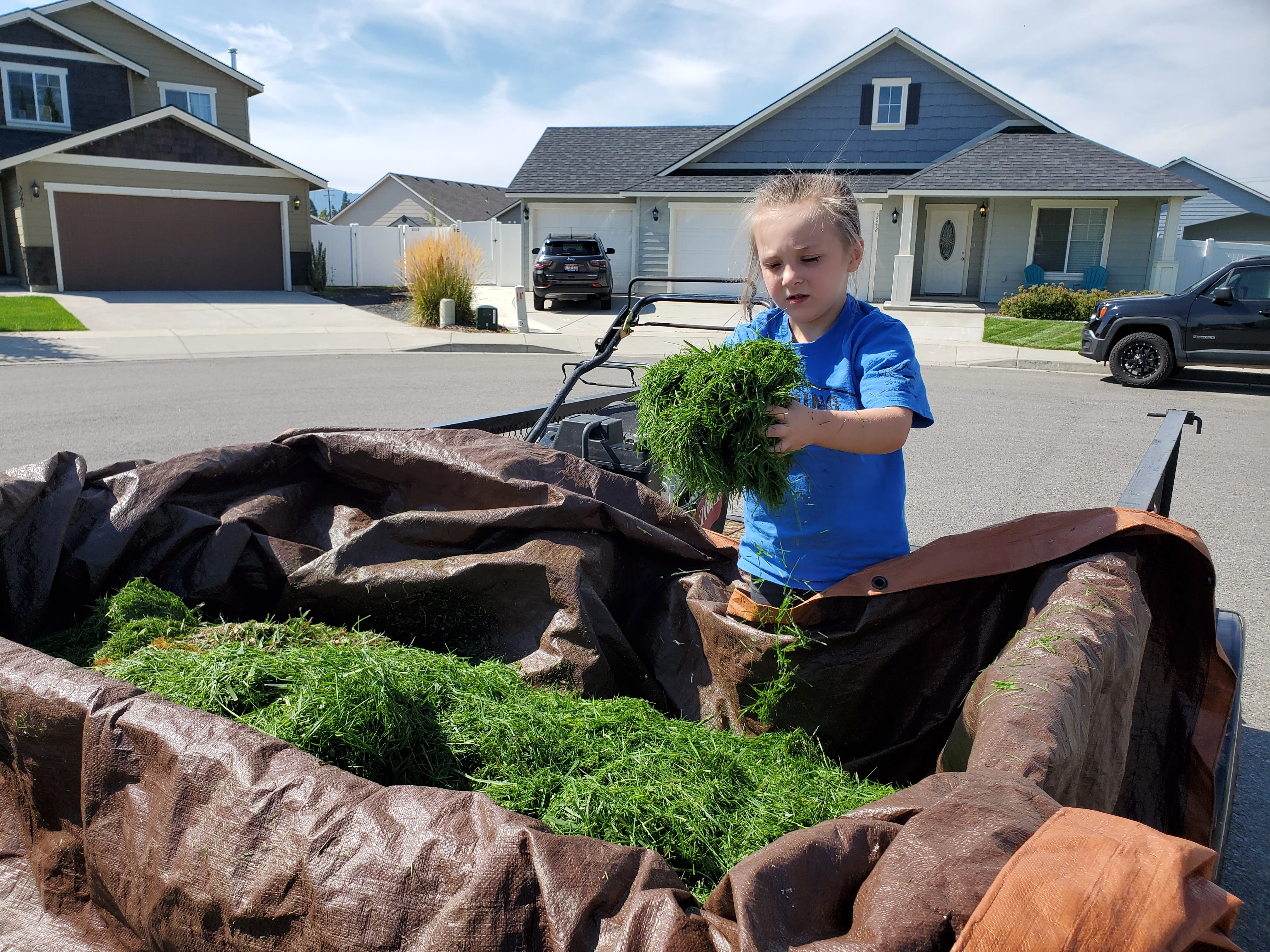 Lawn care worker collecting fresh grass clippings in bags during residential yard maintenance service