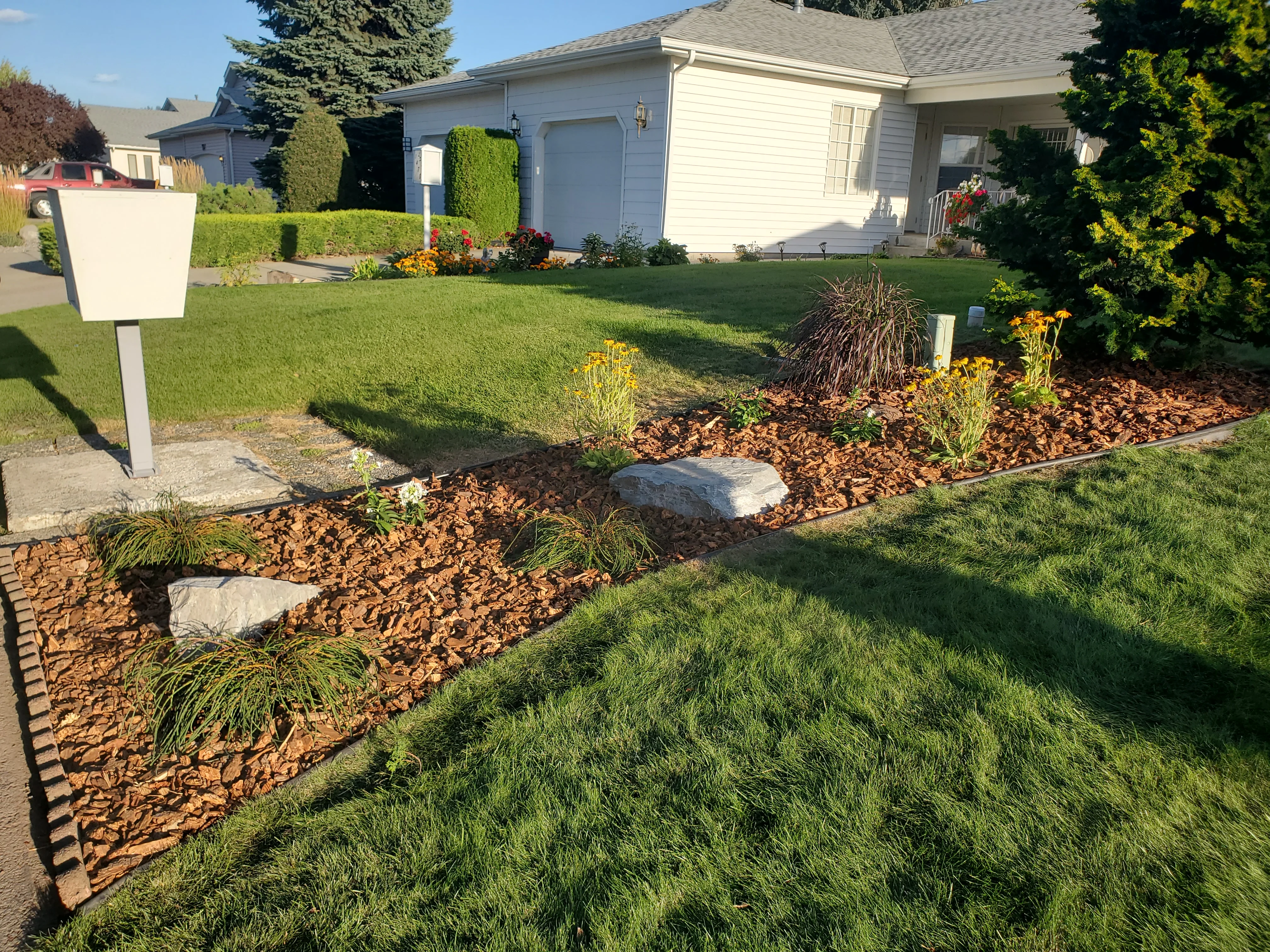 Front yard landscaping with mulch beds, ornamental grasses, yellow flowers, and decorative stones
