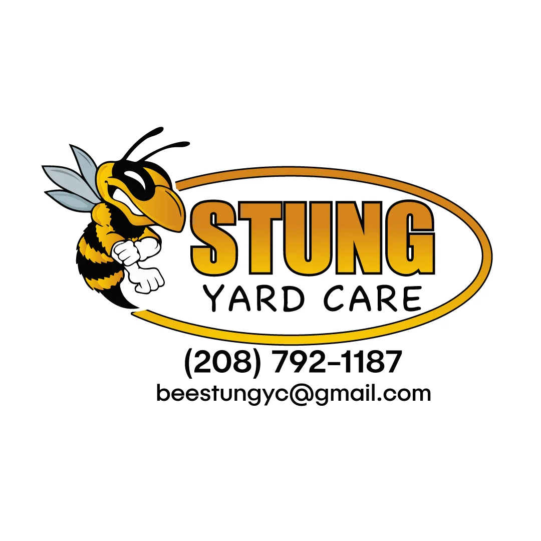 Stung Yard Care logo with cartoon bee mascot and contact details