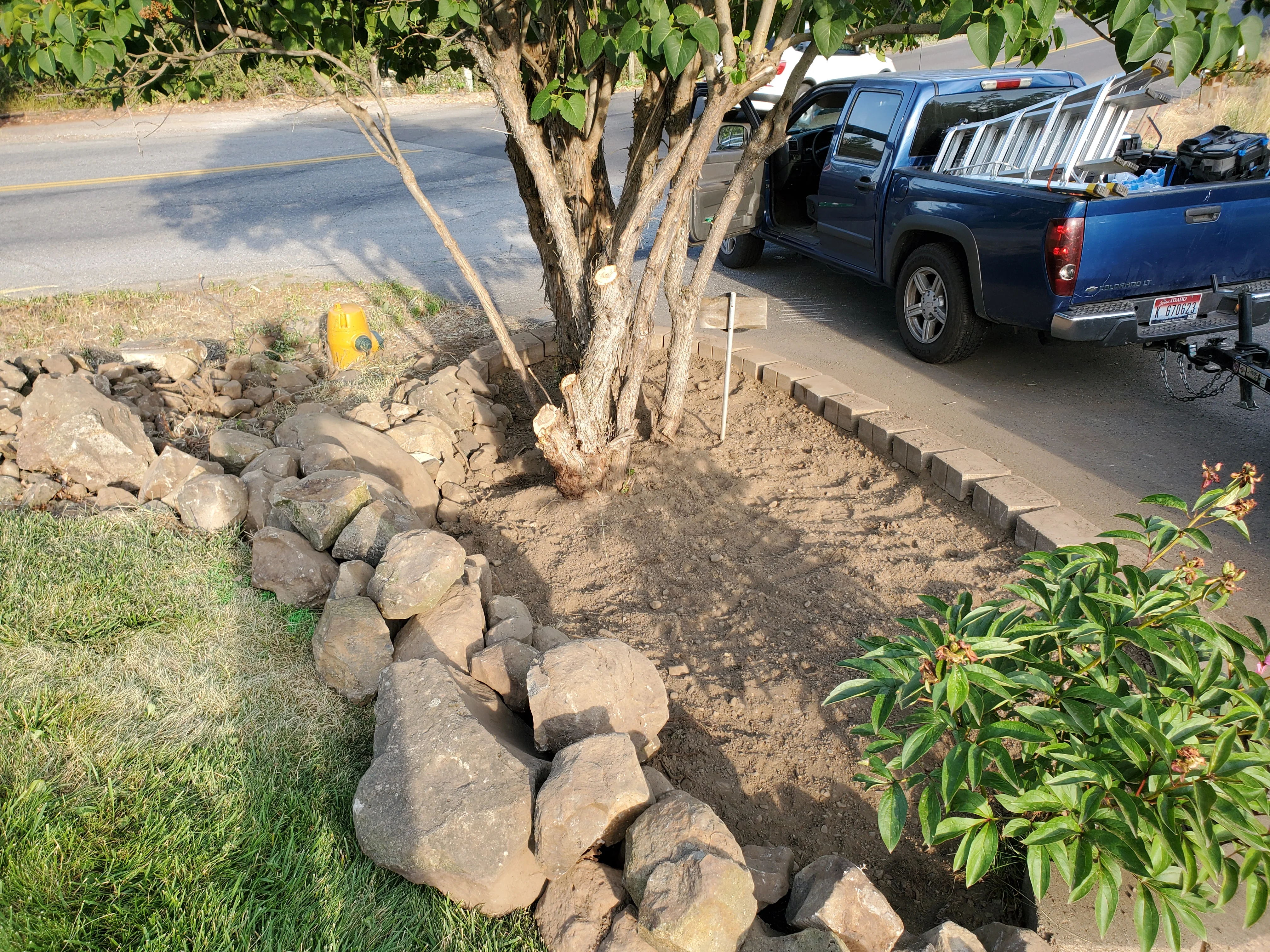 Natural stone rock edging installed along street-side landscape bed with mature tree in Harbor Bay