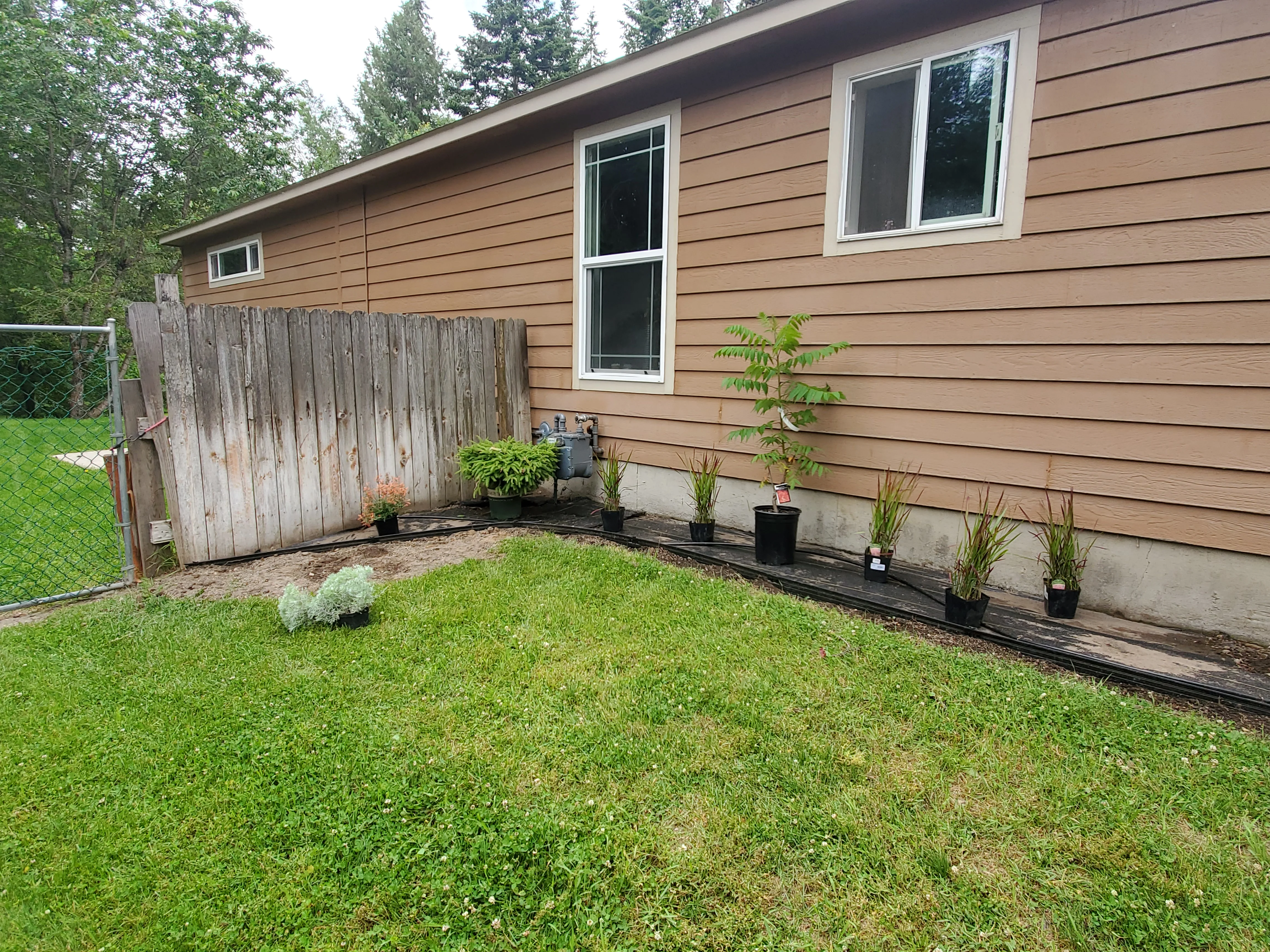 Foundation planting bed with ornamental plants and black edging along home exterior