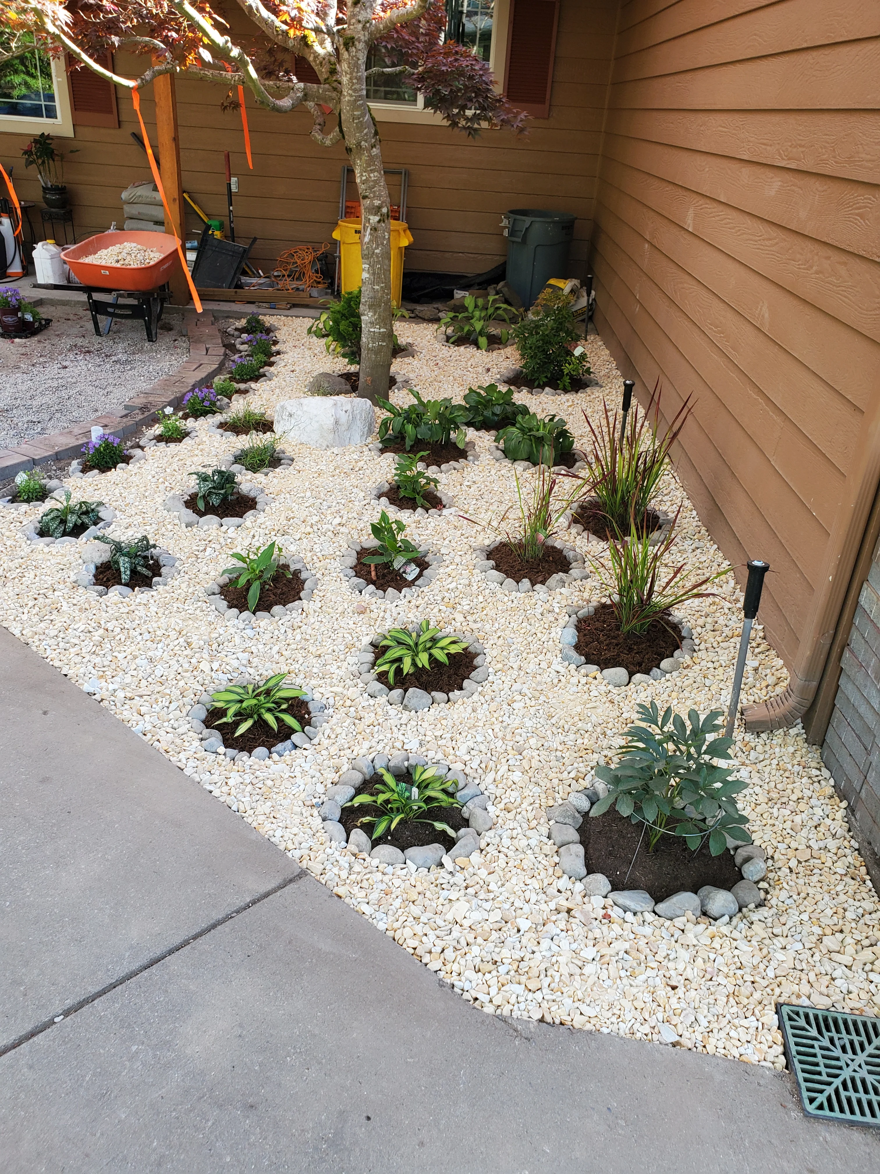 Cream river rock xeriscape garden with purple flowers, ornamental grasses, and green shrubs in individual stone-bordered planting beds