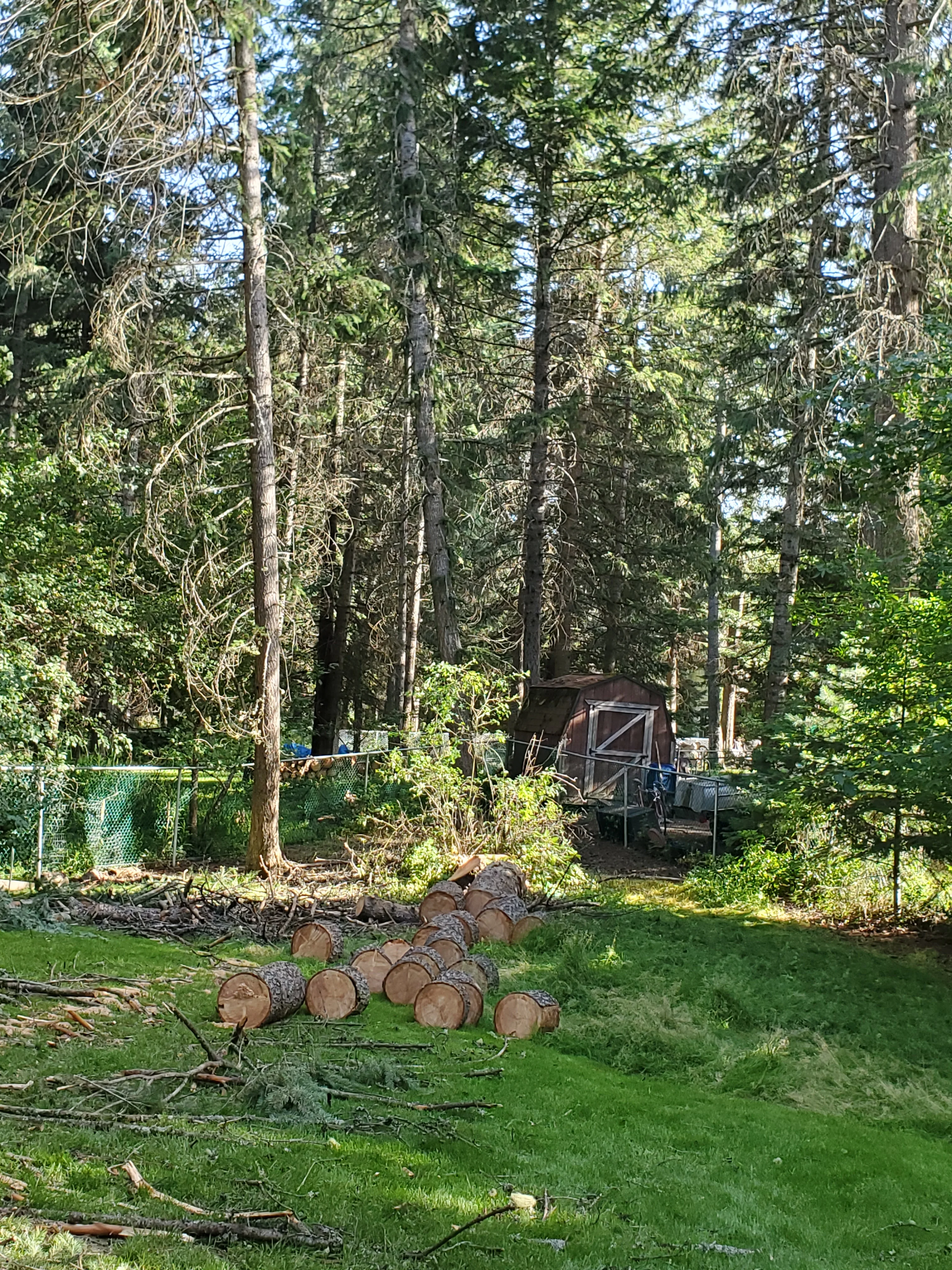 Forest property clearing and land management with debris removal