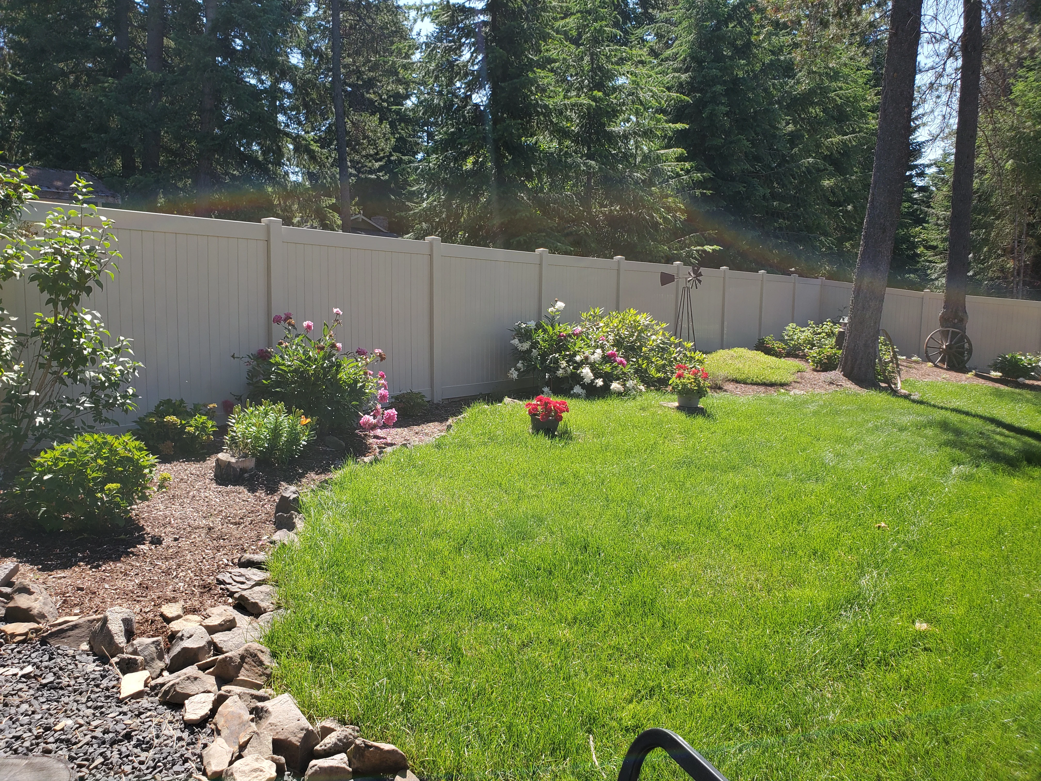 Backyard with white vinyl fence, green lawn, and flowering shrub beds with rock edging