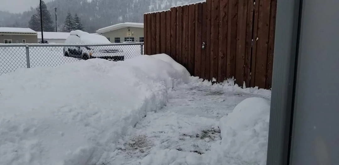 Snow-covered residential yard with cleared fence line and gate access during winter