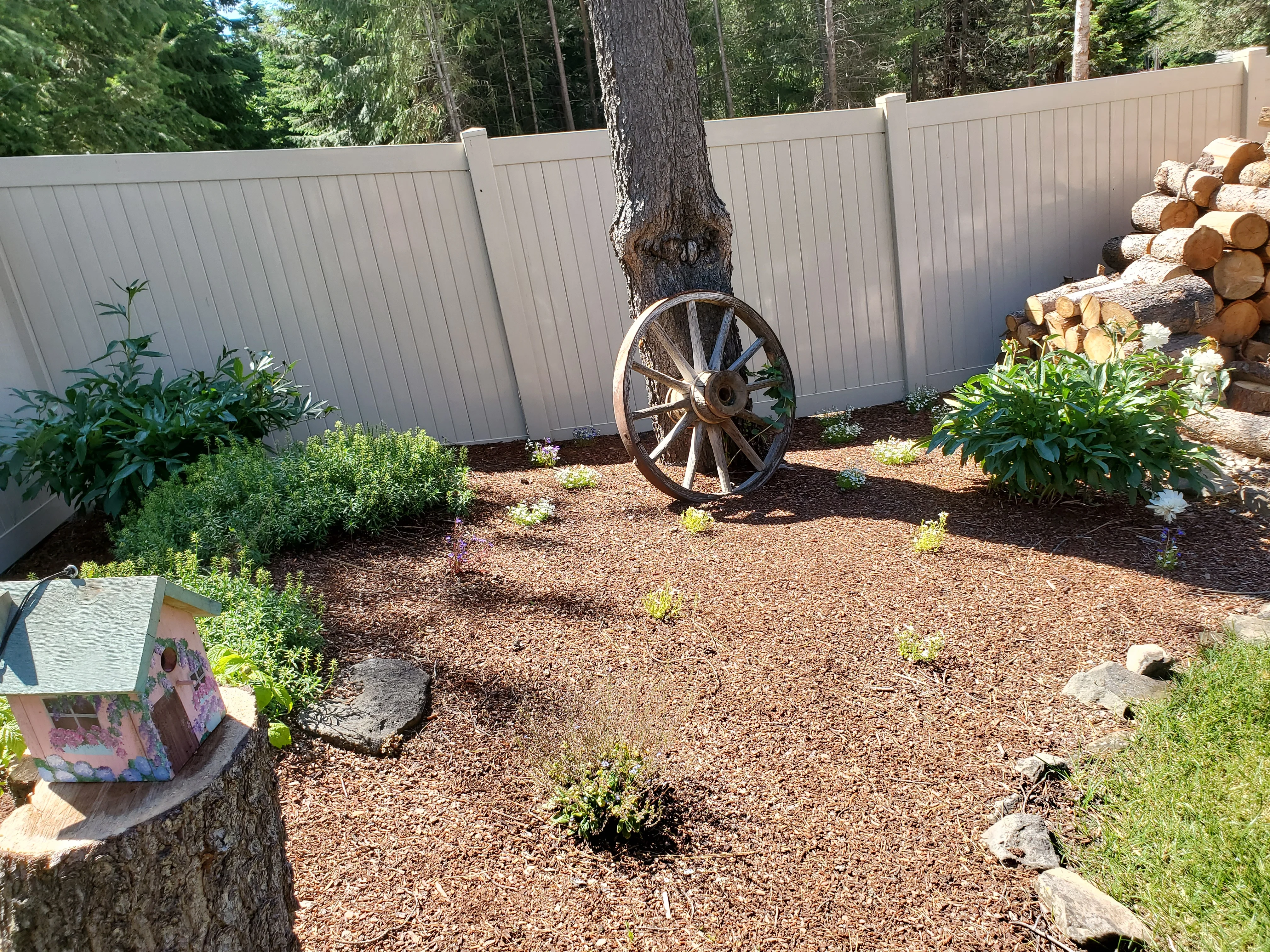 Vinyl privacy fence with mulch beds, plantings, stacked wood, and wagon wheel accent