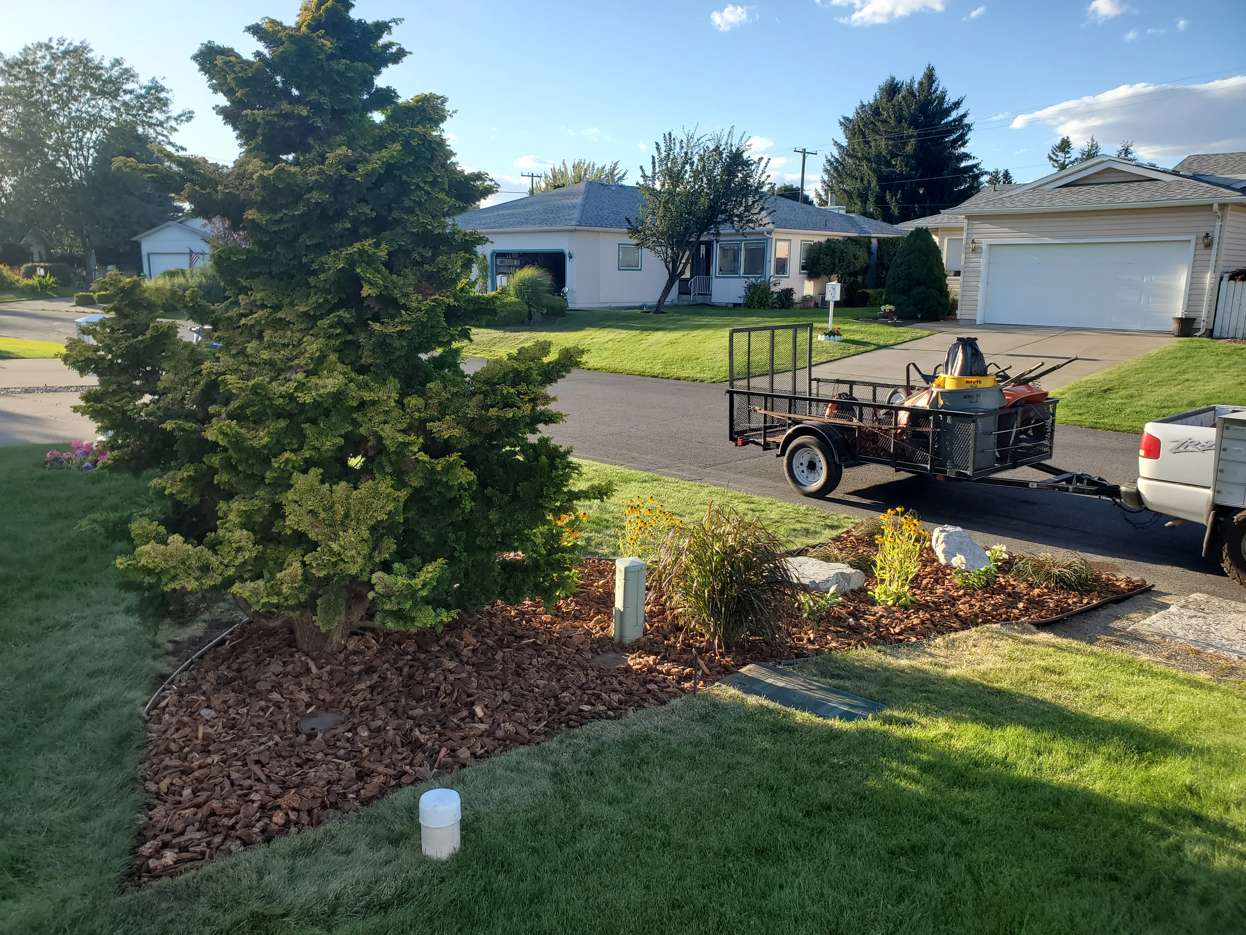 Newly installed landscape bed with dark mulch, ornamental plants, and rock features in residential yard