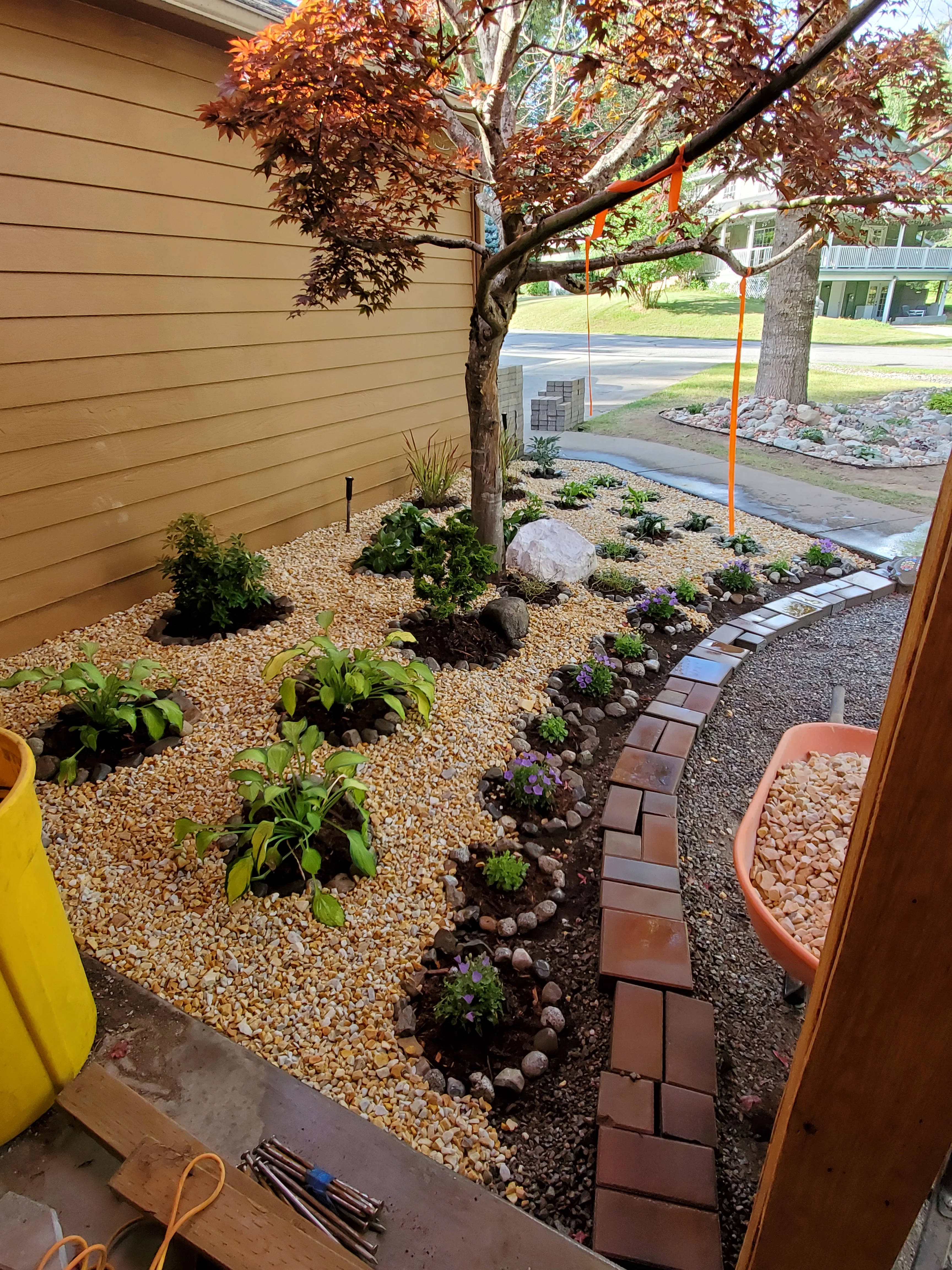 Japanese maple tree with tan gravel bed, purple flowers, and brick edging along home foundation