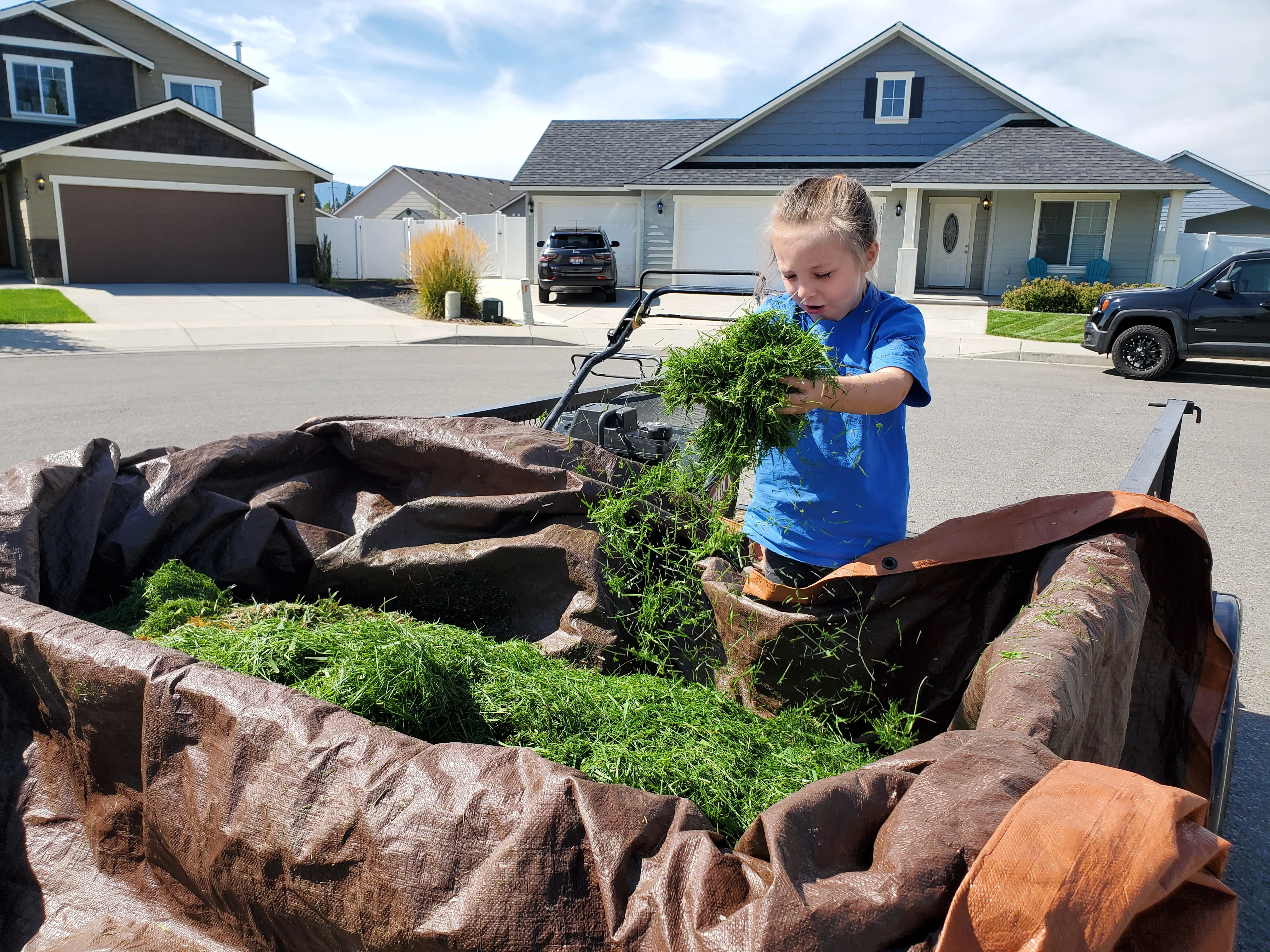 Yard debris hauling with collected branches and logs in removal trailer