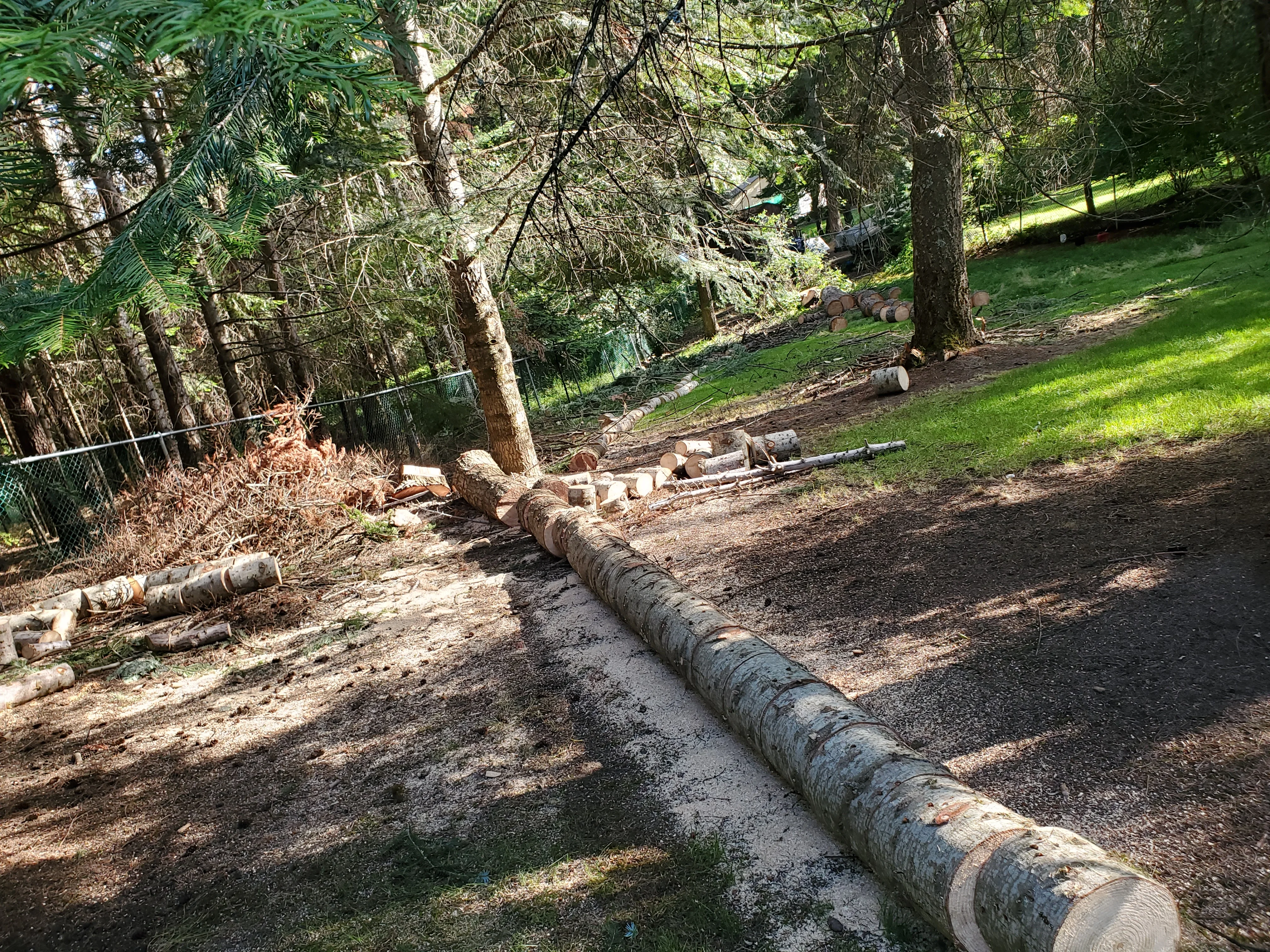 A cleared residential yard in Coeur d'Alene, Idaho after debris hauling, with branch piles and organic waste removed and a loaded truck visible at the curb. The lawn is open and free of brush, showing the result of a full yard debris haul by Bee Stung Yard Care LLC.