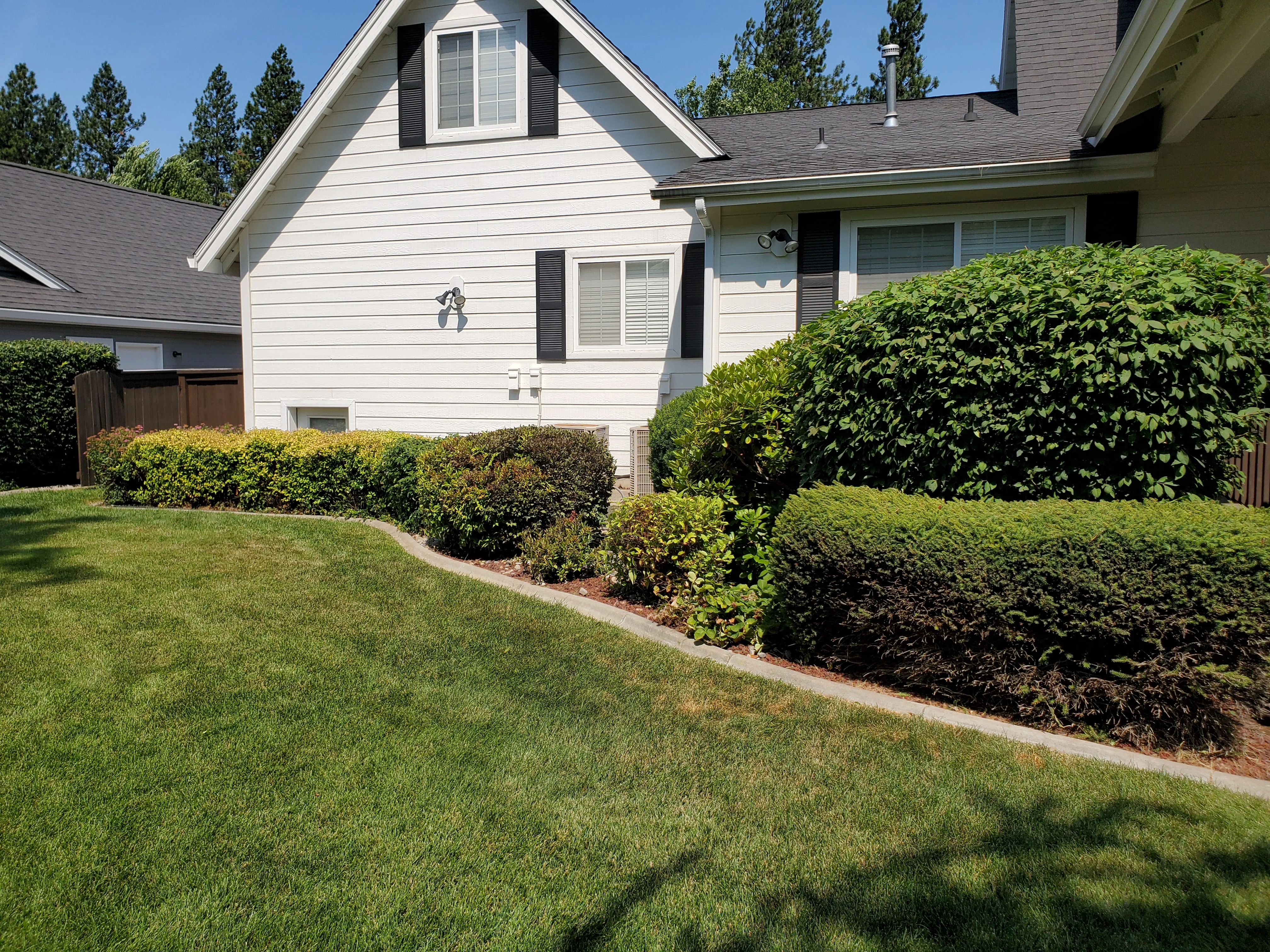 A well-maintained residential lawn in Coeur d'Alene, Idaho with clean mow lines, trimmed edges along a concrete walkway, and neatly weeded garden beds. A Bee Stung Yard Care LLC crew member trims the border of a shrub bed on a clear North Idaho afternoon.