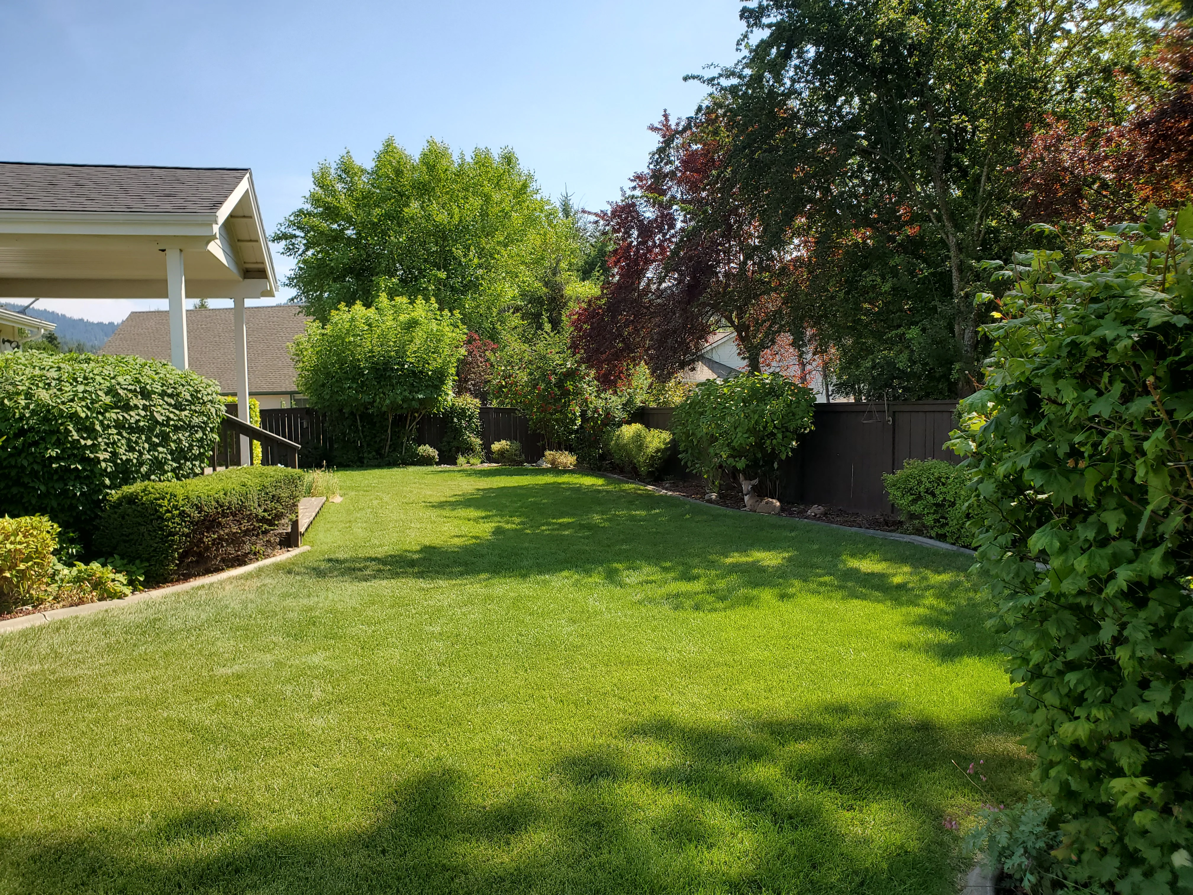 A Coeur d'Alene residential lawn with cleanly trimmed grass edges along a wood fence and concrete sidewalk. String trimming has left defined borders between the turf and surrounding hard surfaces.
