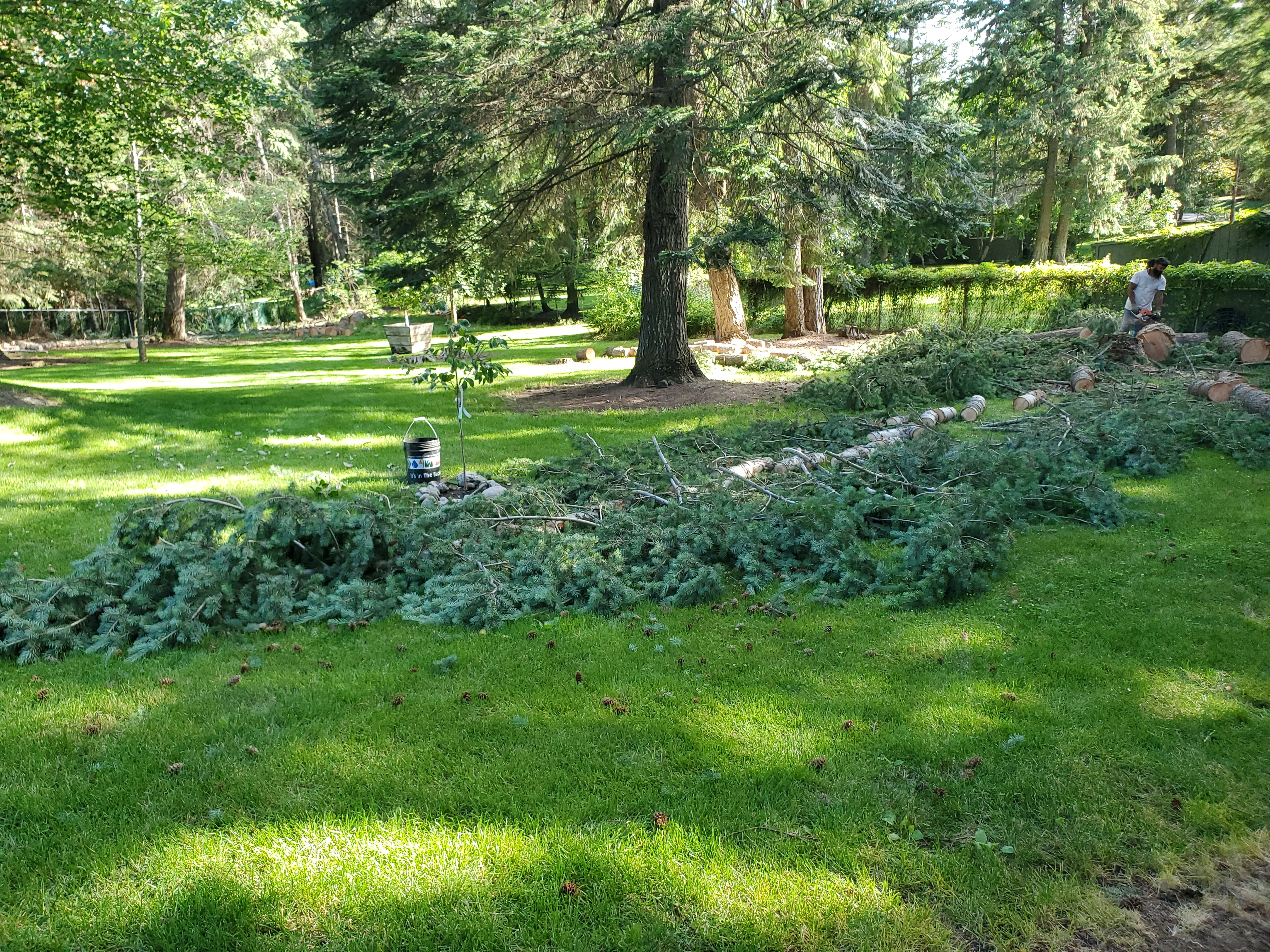 A cleared residential backyard in Coeur d'Alene, Idaho after a full property cleanup, with hauled-away debris piles, bare lawn, and an empty driveway. Before-and-after view showing removed junk, brush, and yard waste from a North Idaho home.